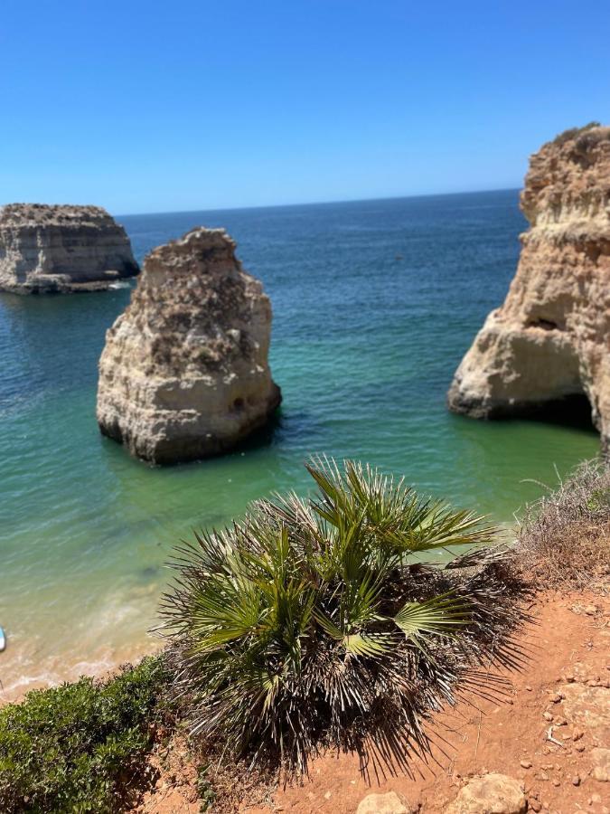 Sunset Presidente Algarve Portimao